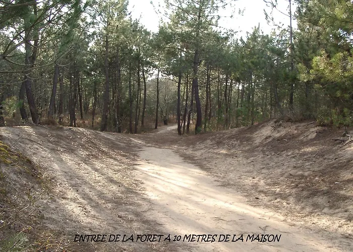 Appartement Rdc En Bordure De Foret